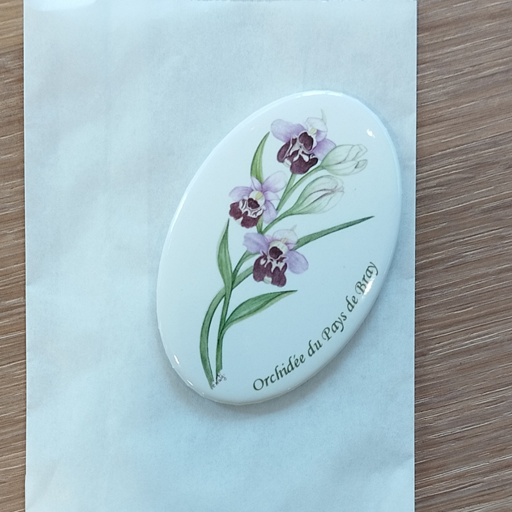 Magnet aquerelle